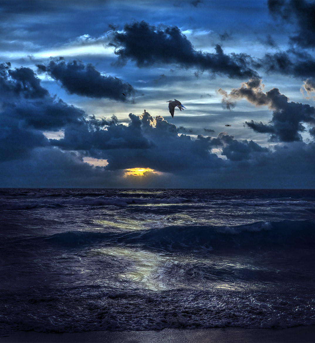 Early Riser