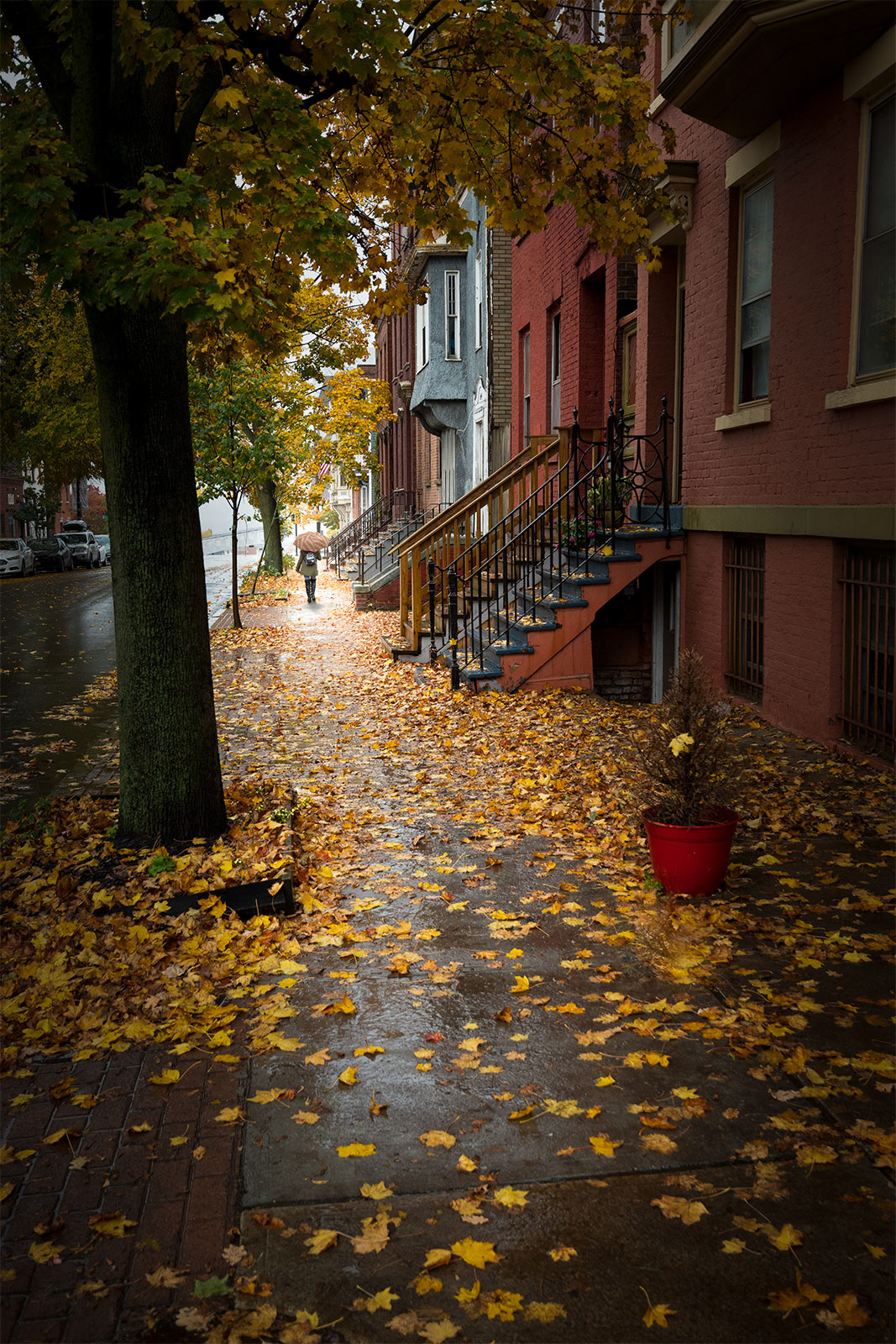 A Rainy Fall Afternoon In The City Of Albany