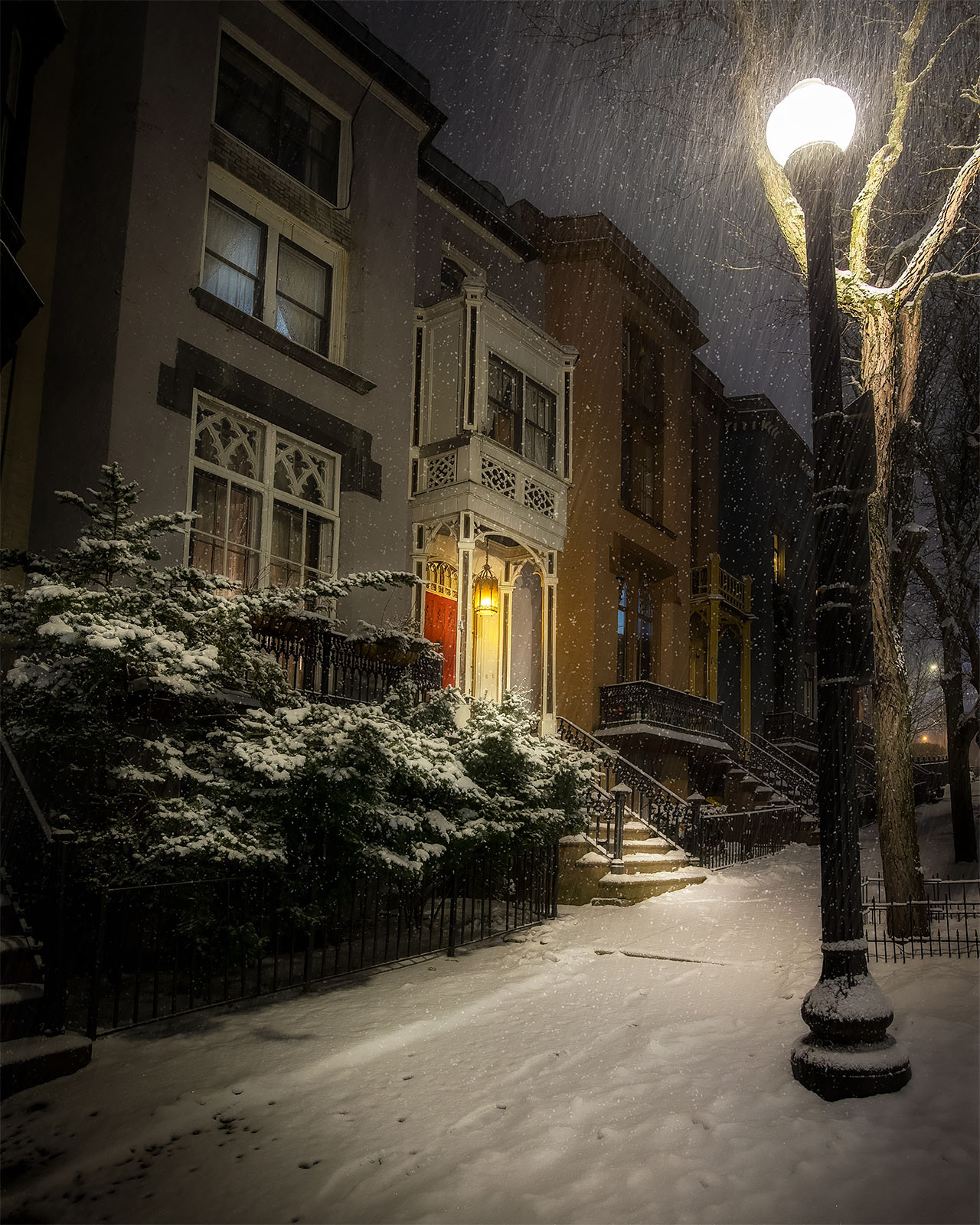 Winter Madison Place Albany