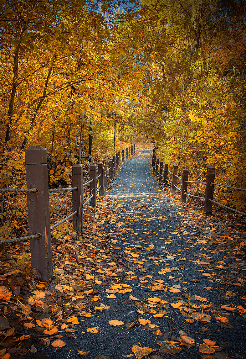 Fall's Signature Look