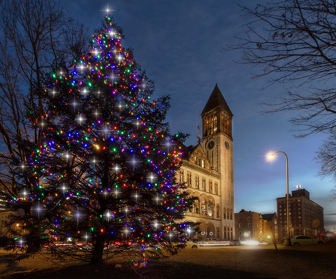 City of Albany Christmas Tree