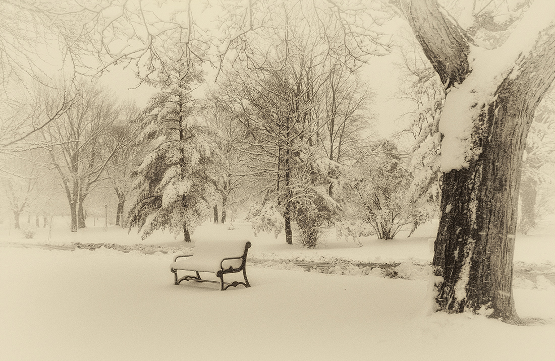 Vintage Winter Washington Park