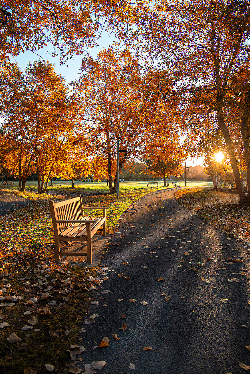 Autumn Morning At The Crossings Of Colonie