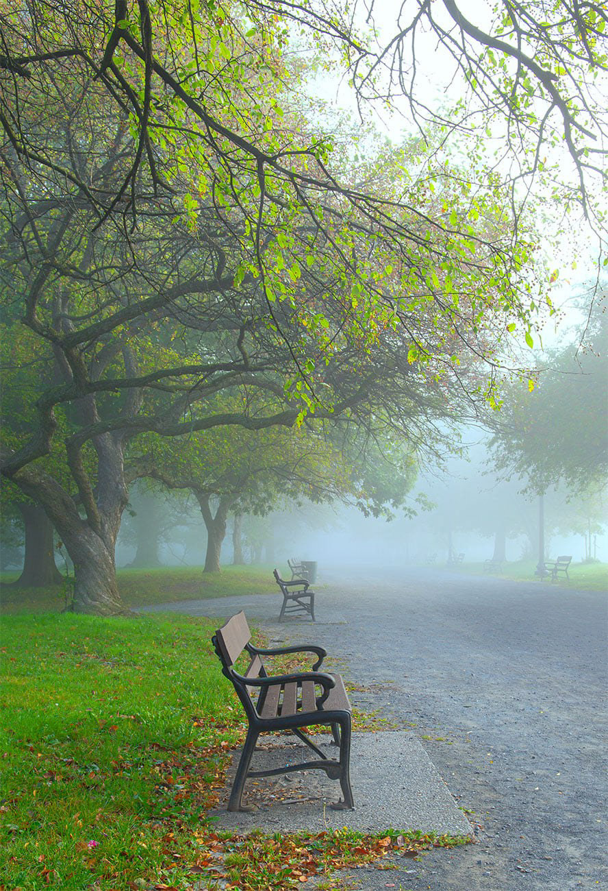 A Foggy Fall Morning at Washington Park, Albany, NY