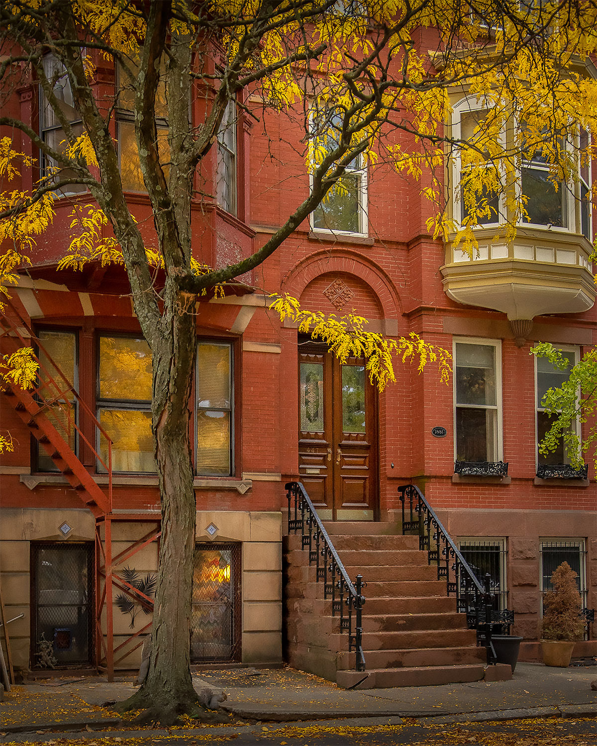 Fall Hues, City Style