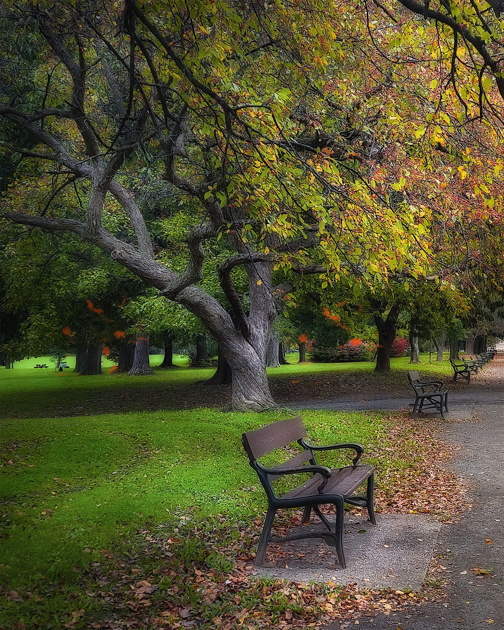 Fall On Knox Street Mall Washington Park