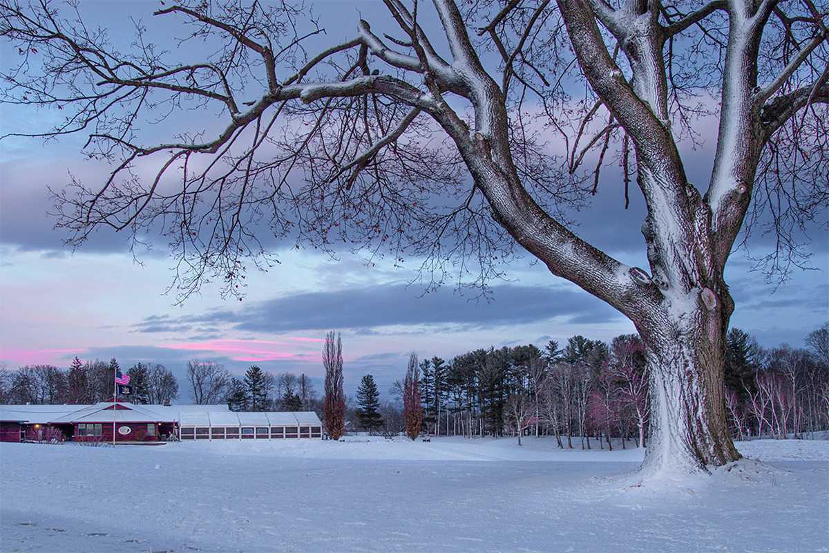 A Frigid Morning at Capital Hills