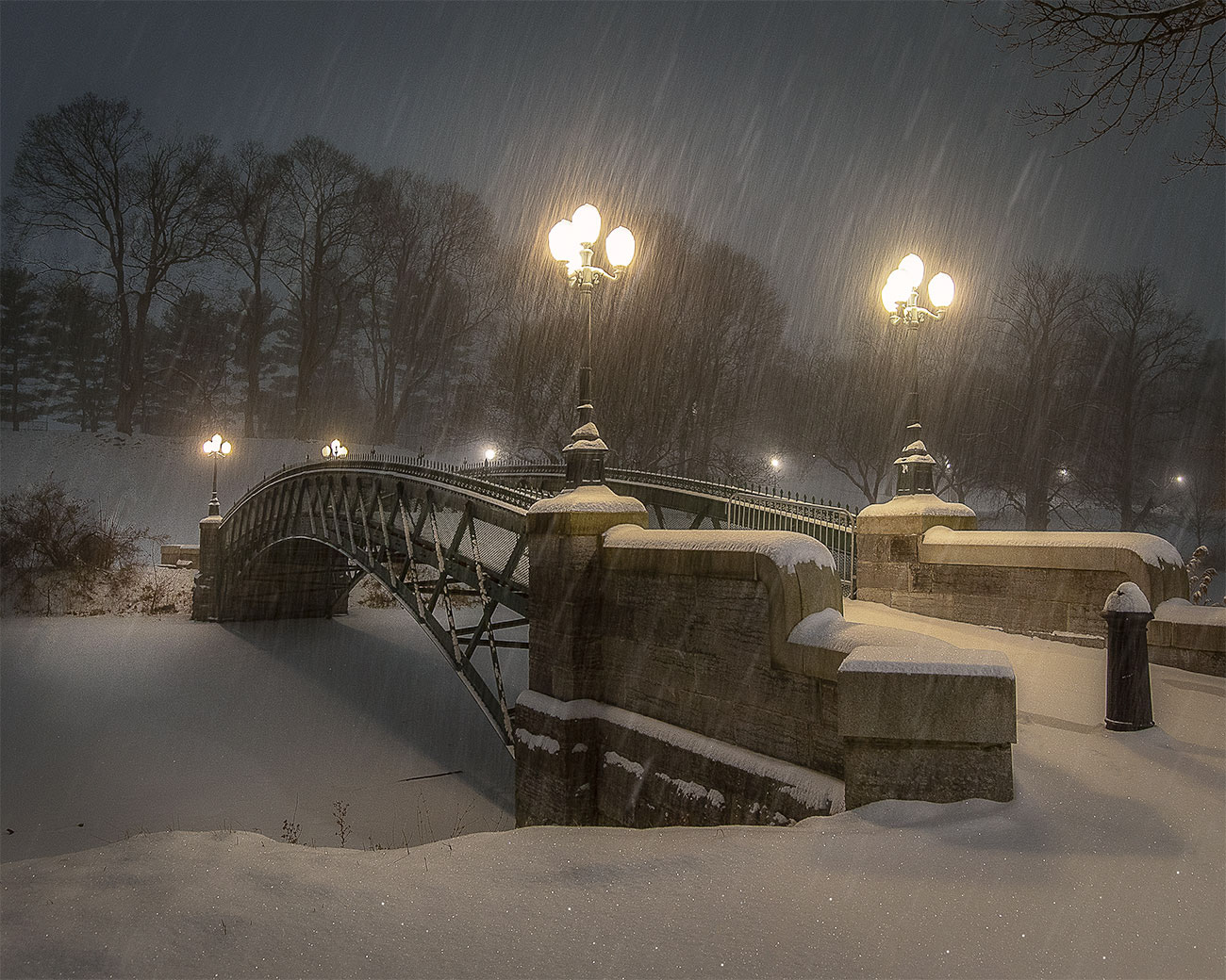 Snow Covered Bridge Washington Park