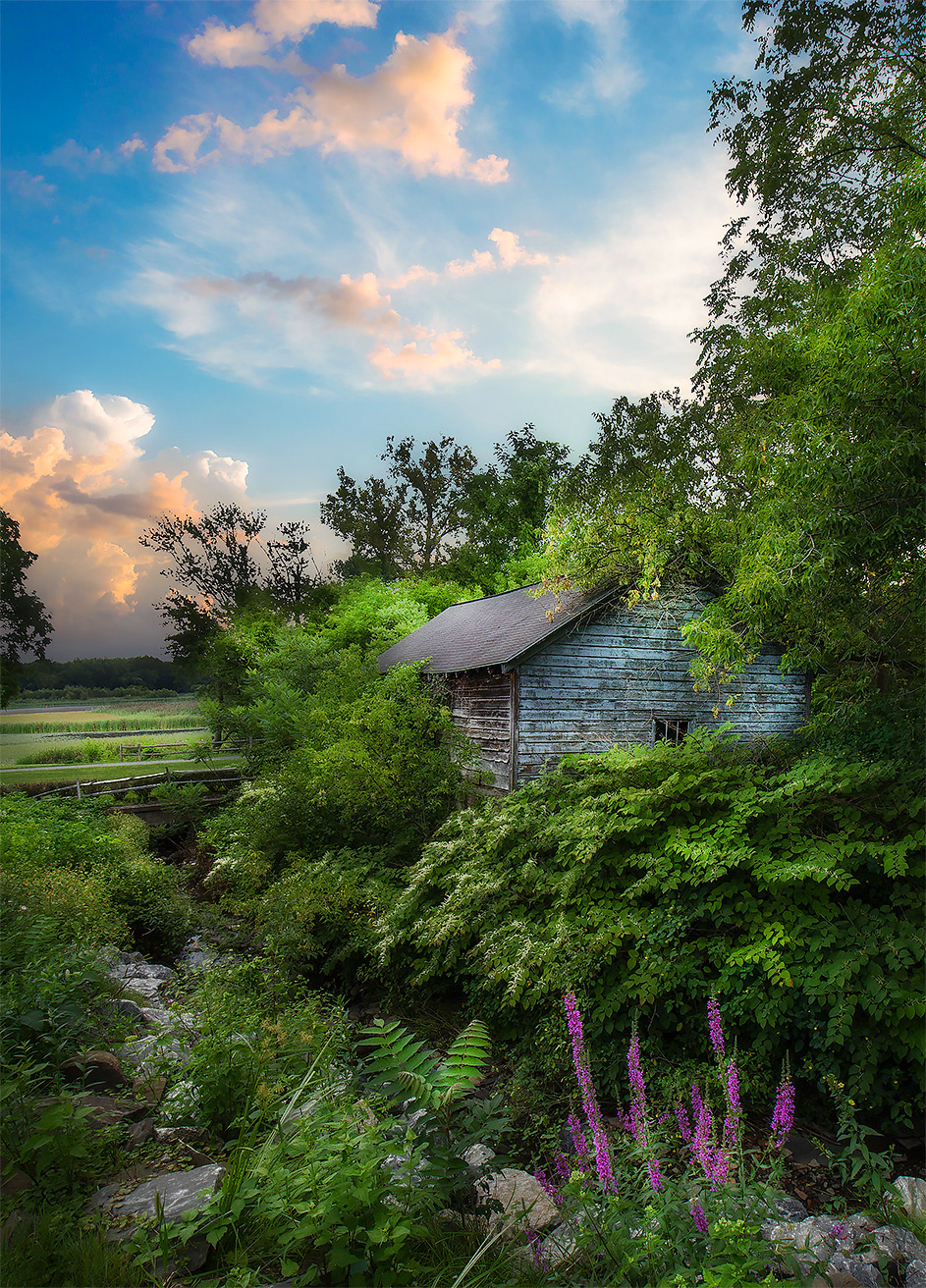 Painter's Landscape Lyon's Park