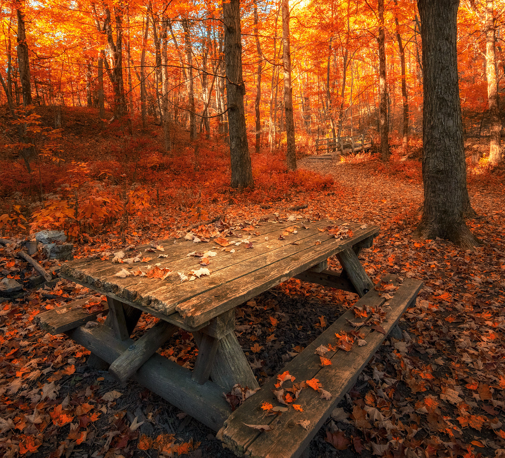 Fall Hues At Thacher Park