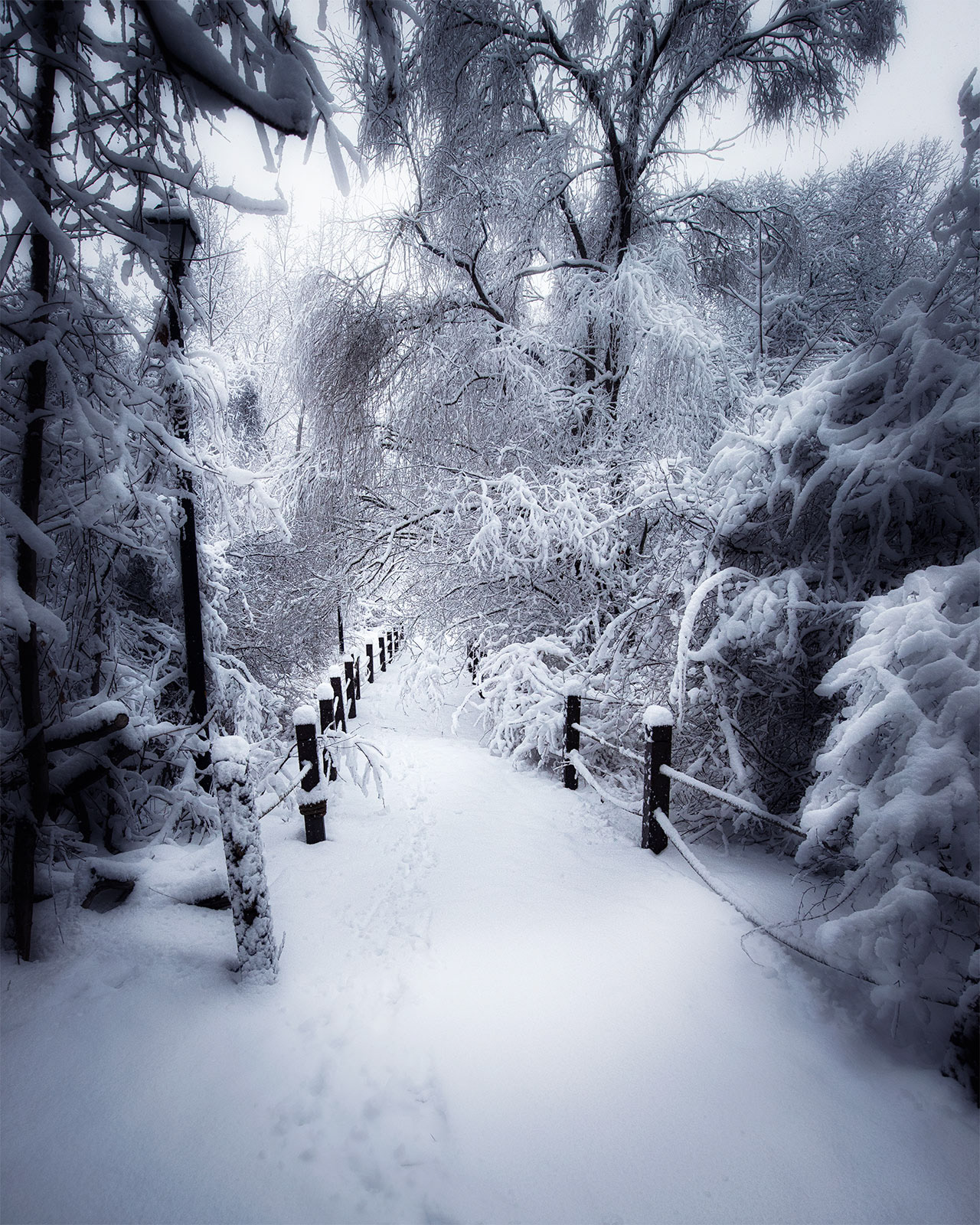 On The Road To Narnia