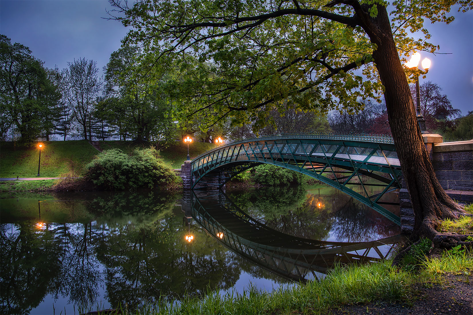 Stillness at Washington Park