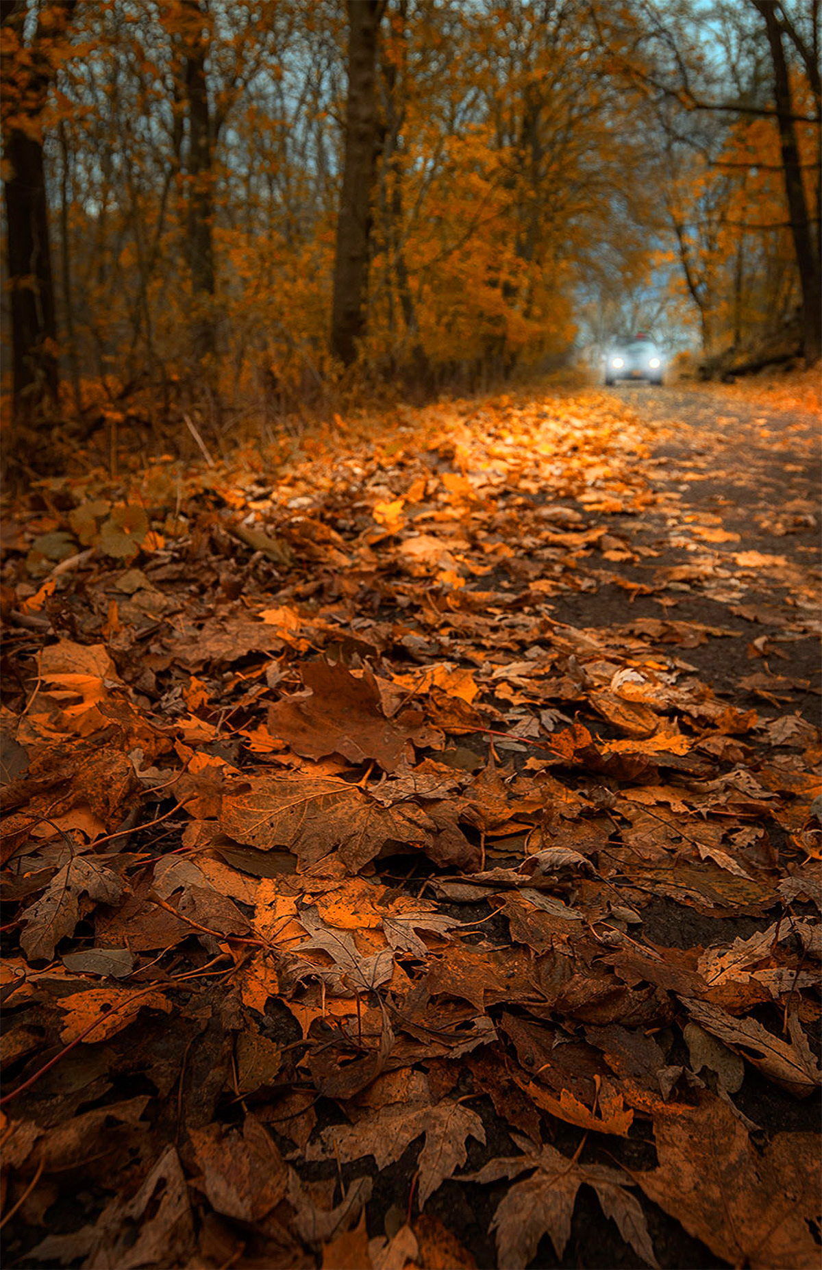 Leaf Peeping Road Trip