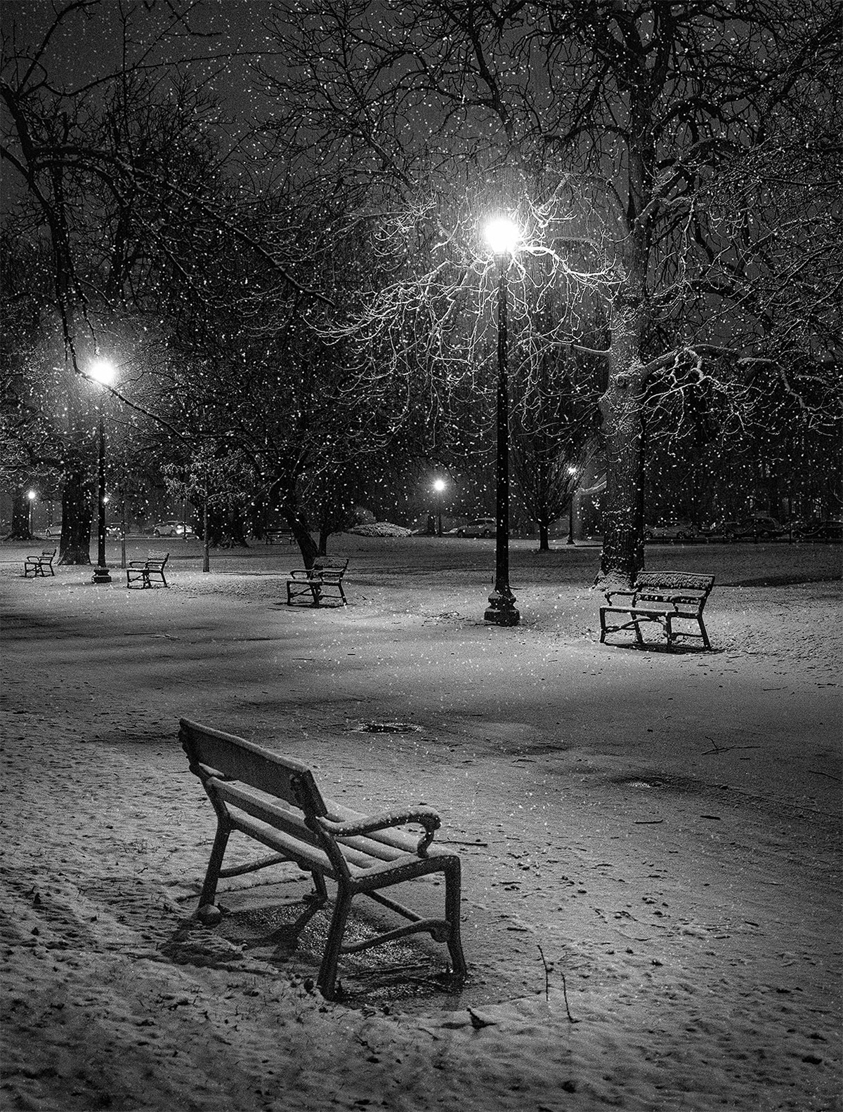A Winter Still Life At Washington Park, Albany NY