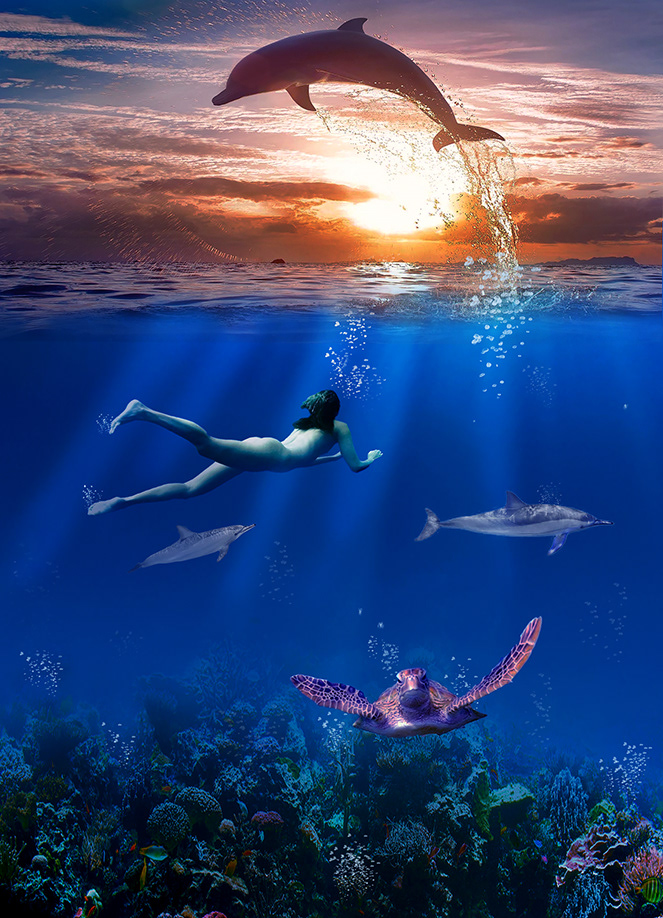 Beauty Above & Below