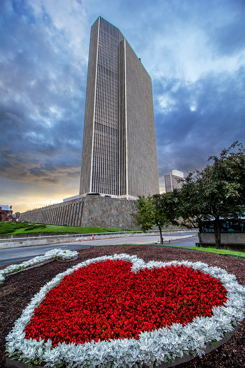 The Heart of the City