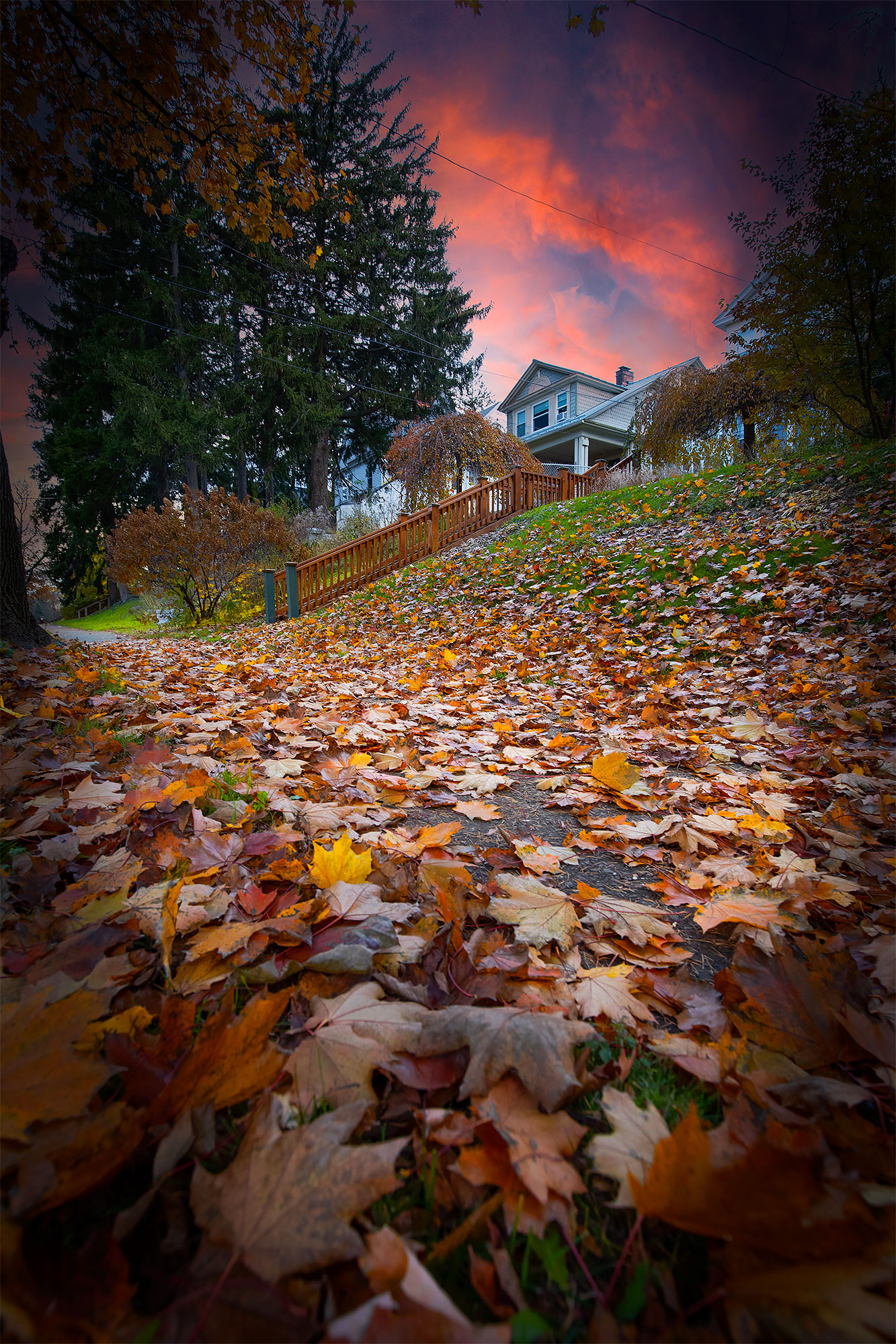 The Leaves Have Fallen