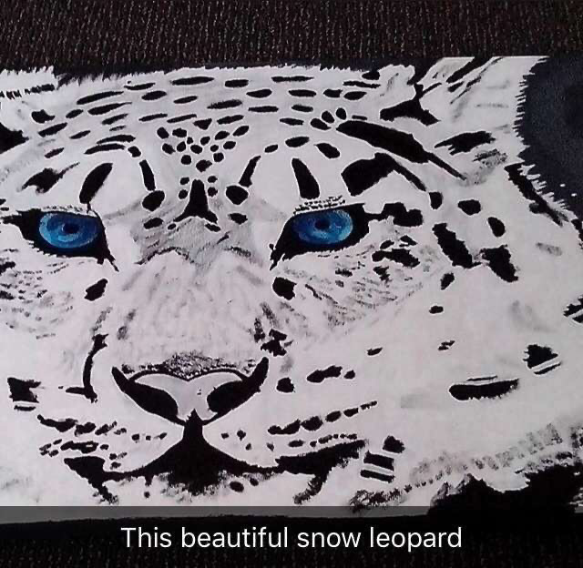 Snow leopard