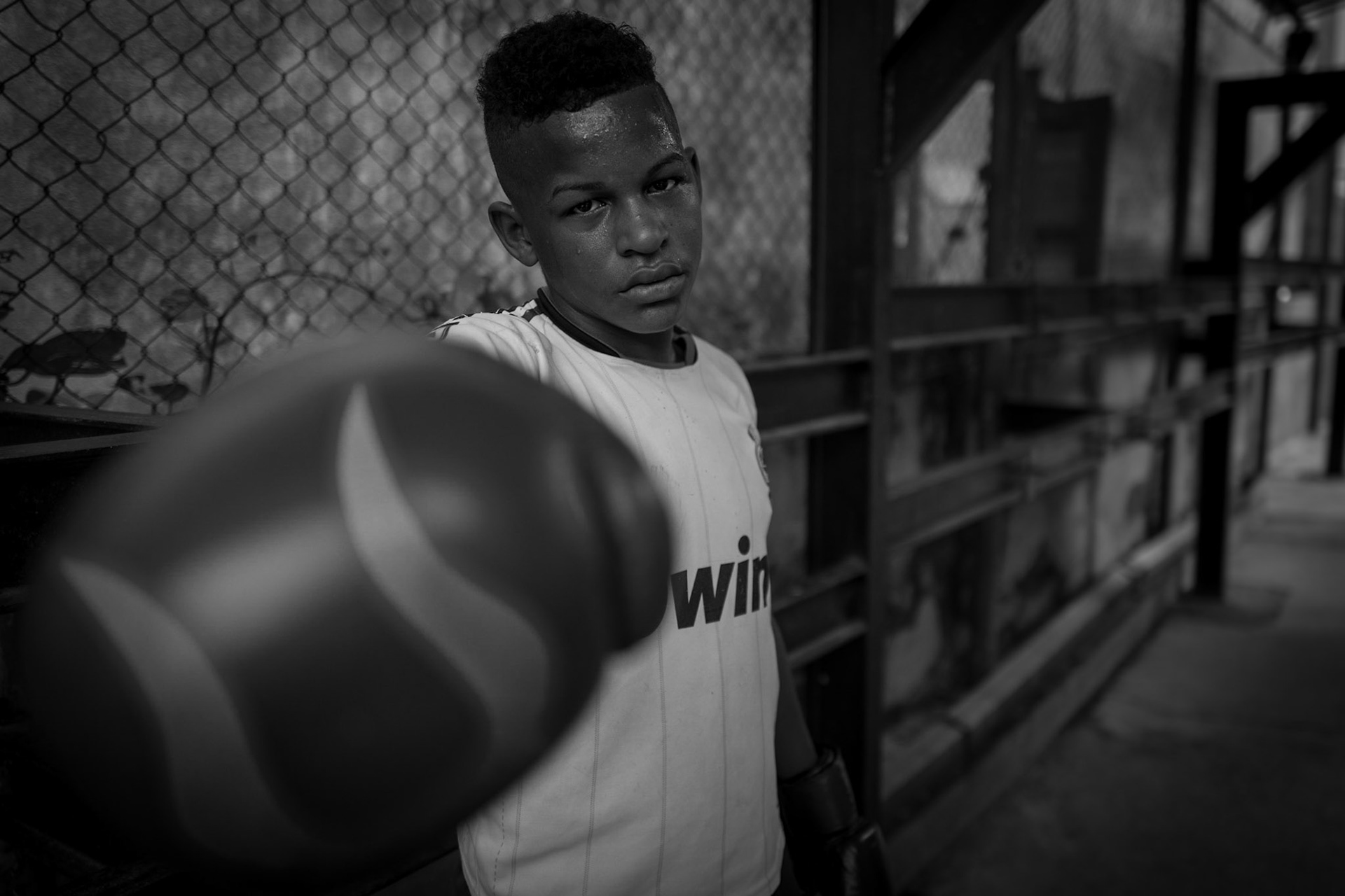 Young Havana Boxer