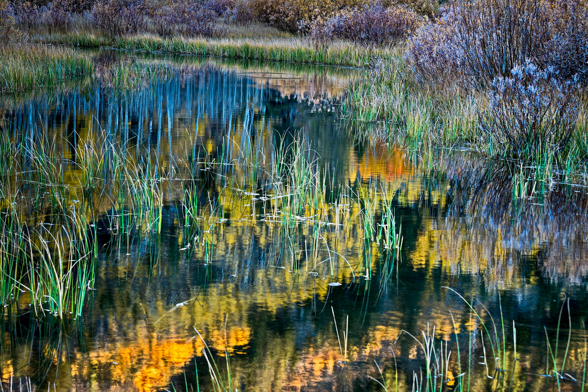 Tioga Pass Autumn Prism