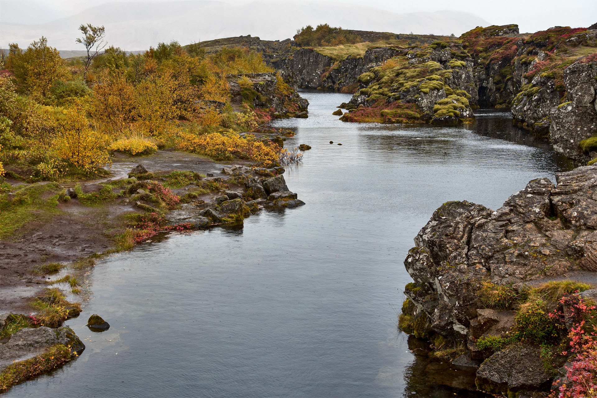 An Intercontinental River