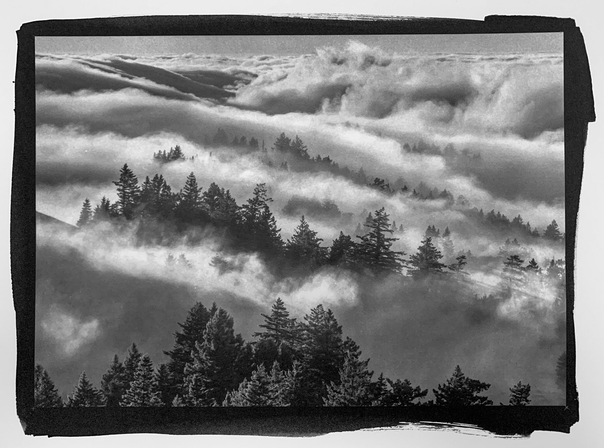 Photo by Mary Scheft