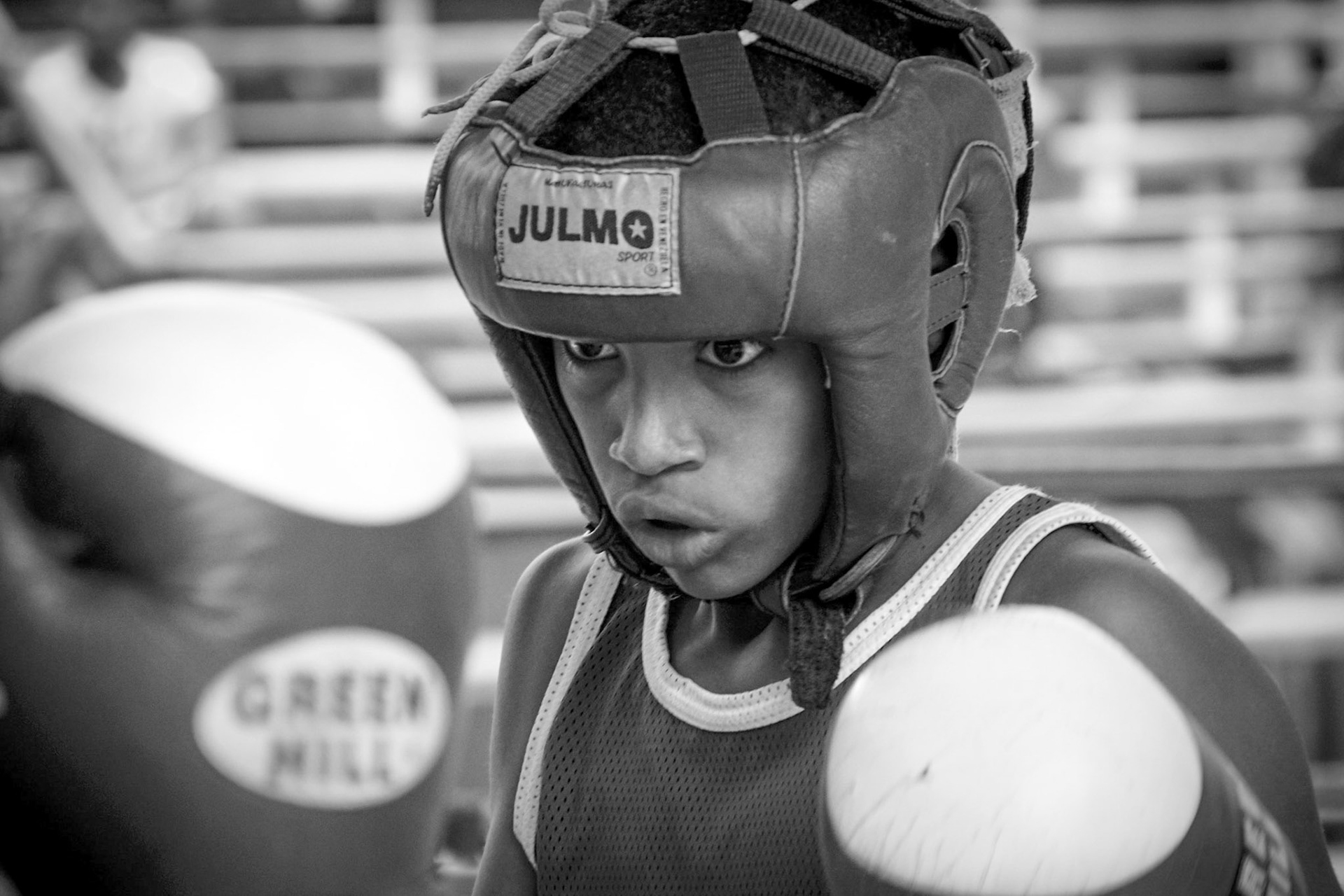Young Havana Boxer