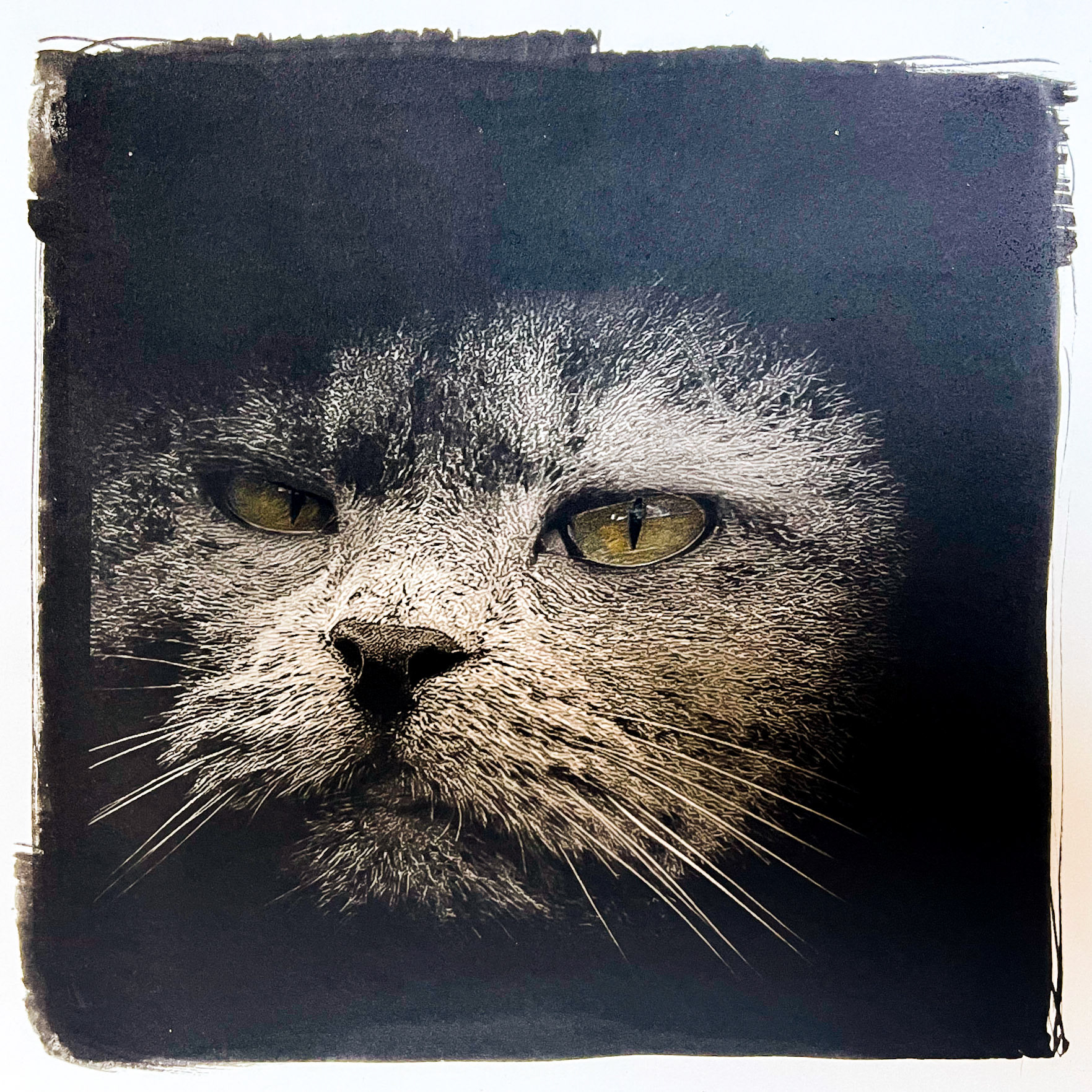 Photo by Larry McCloskey