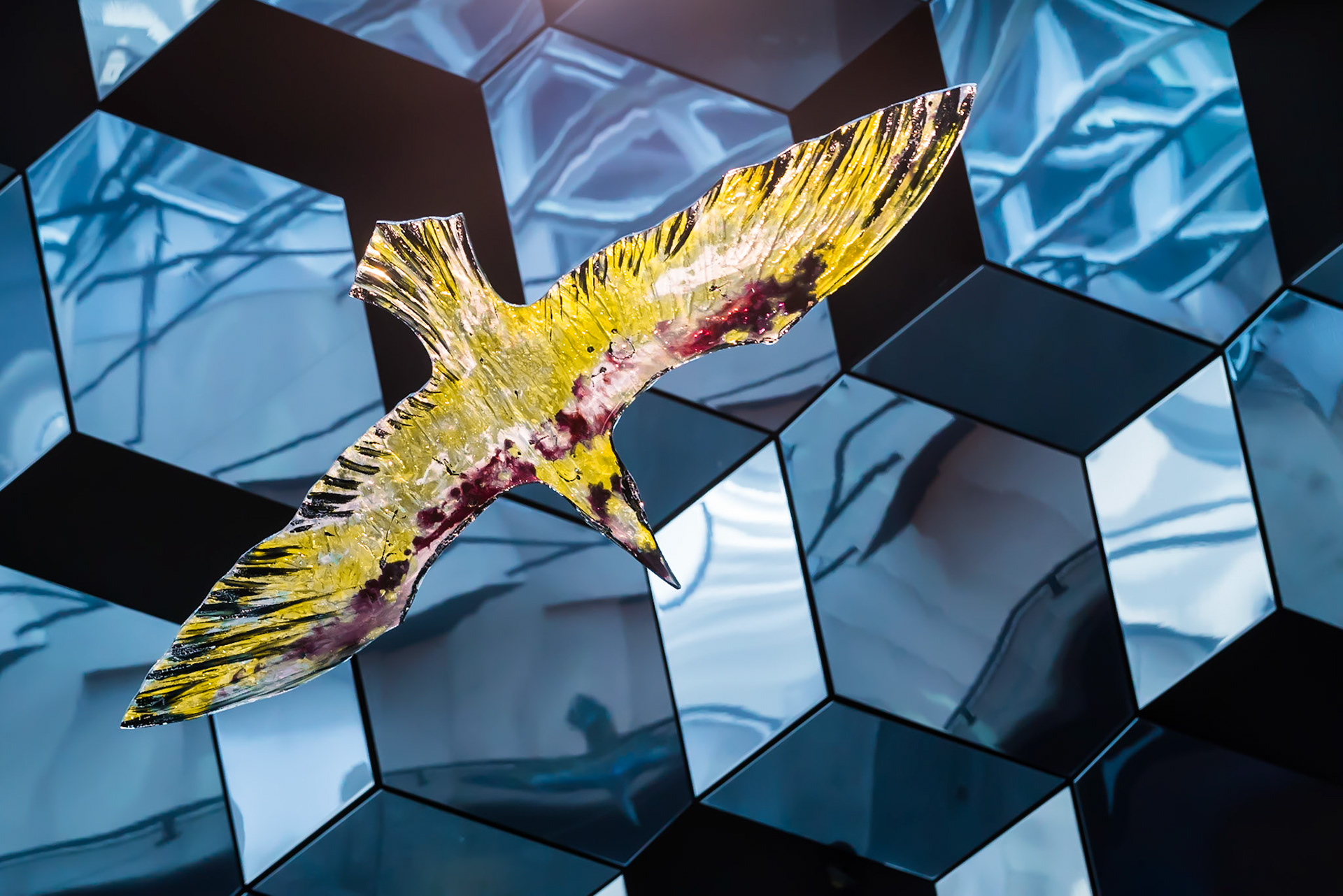 Soaring in the Harpa, Reykjavik
