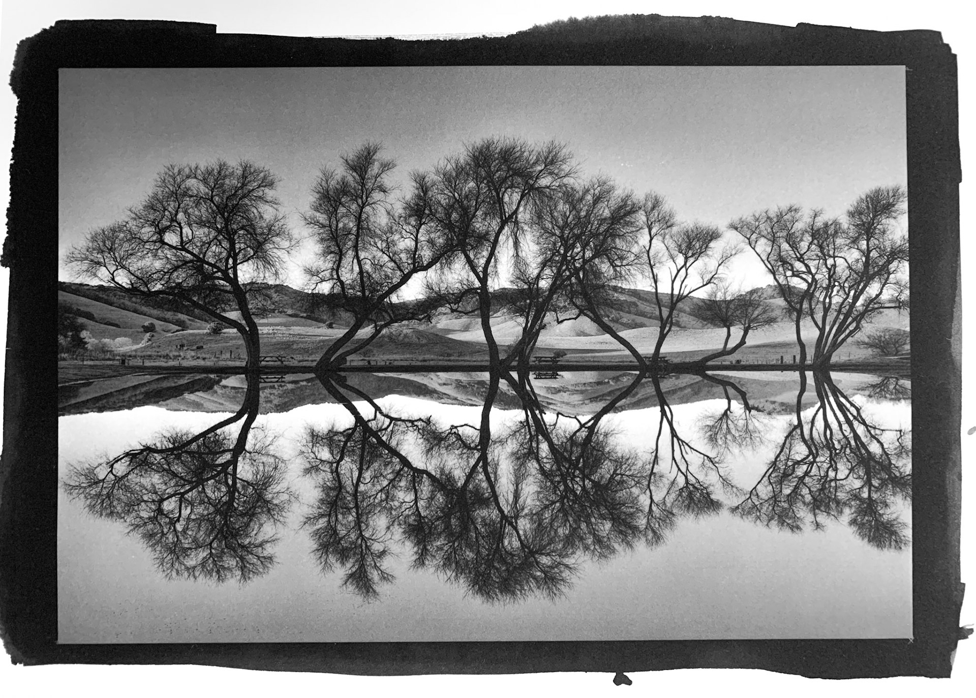 Photo by Larry McCloskey