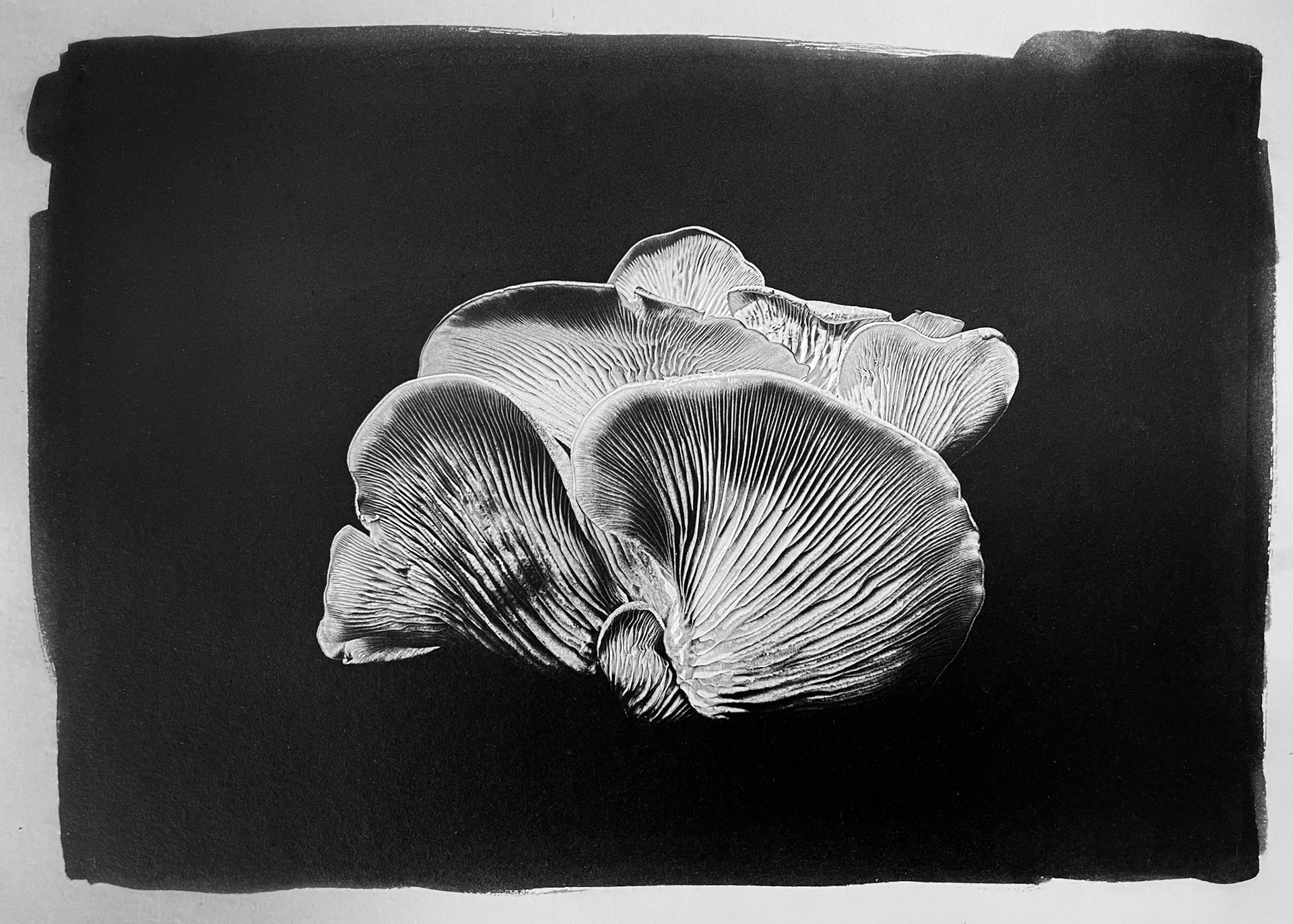 Photo by Dorothy Weaver