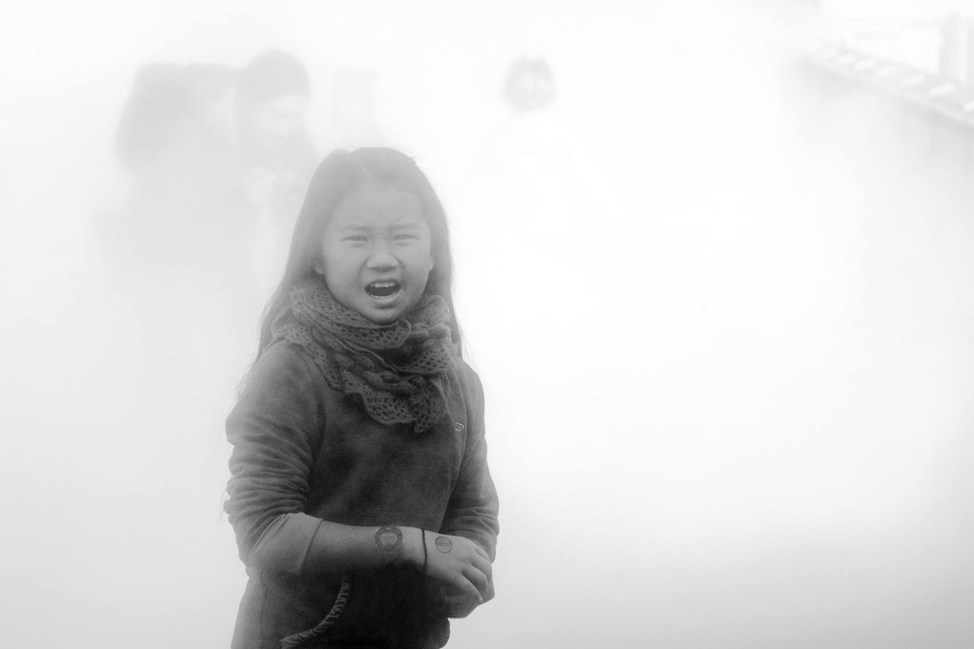 Fog Bridge #72494 (Fujiko Nakaya)