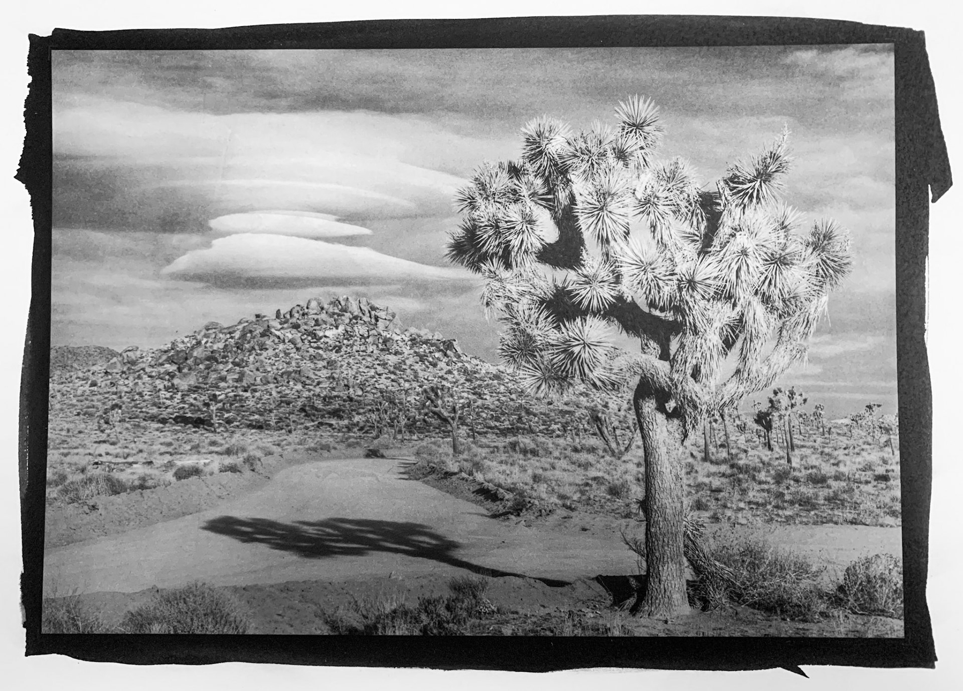 Photo by Kevin Westerlund