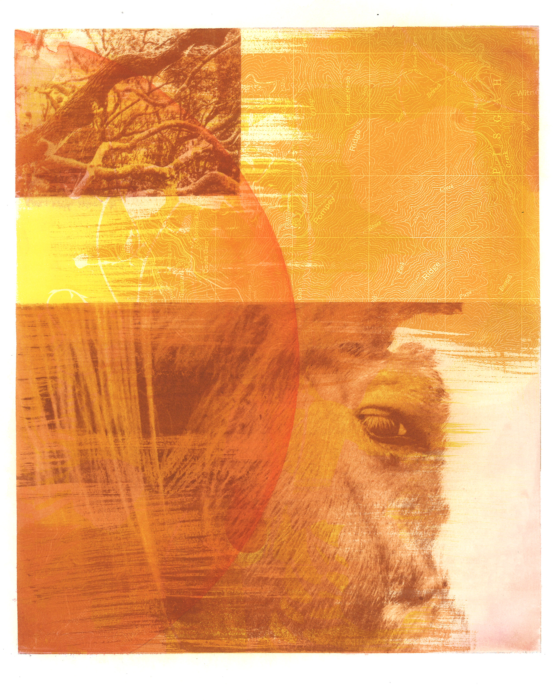 gum bichromate and watercolor