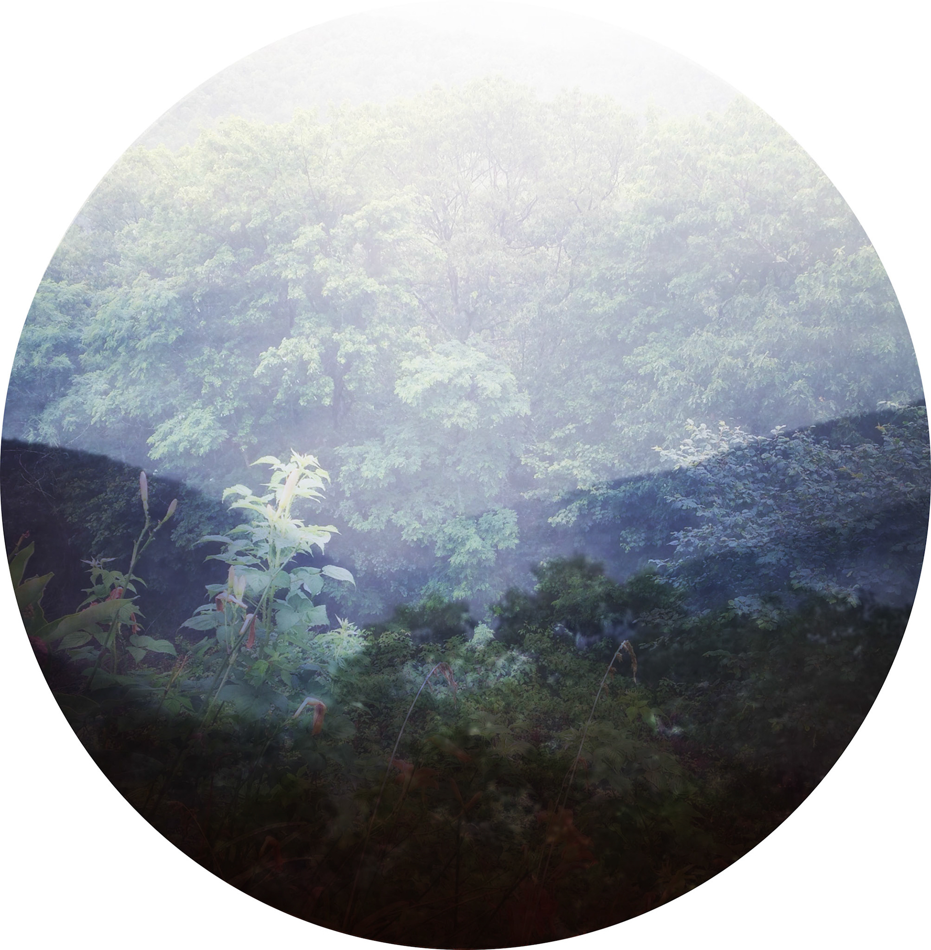 Blue Ridge