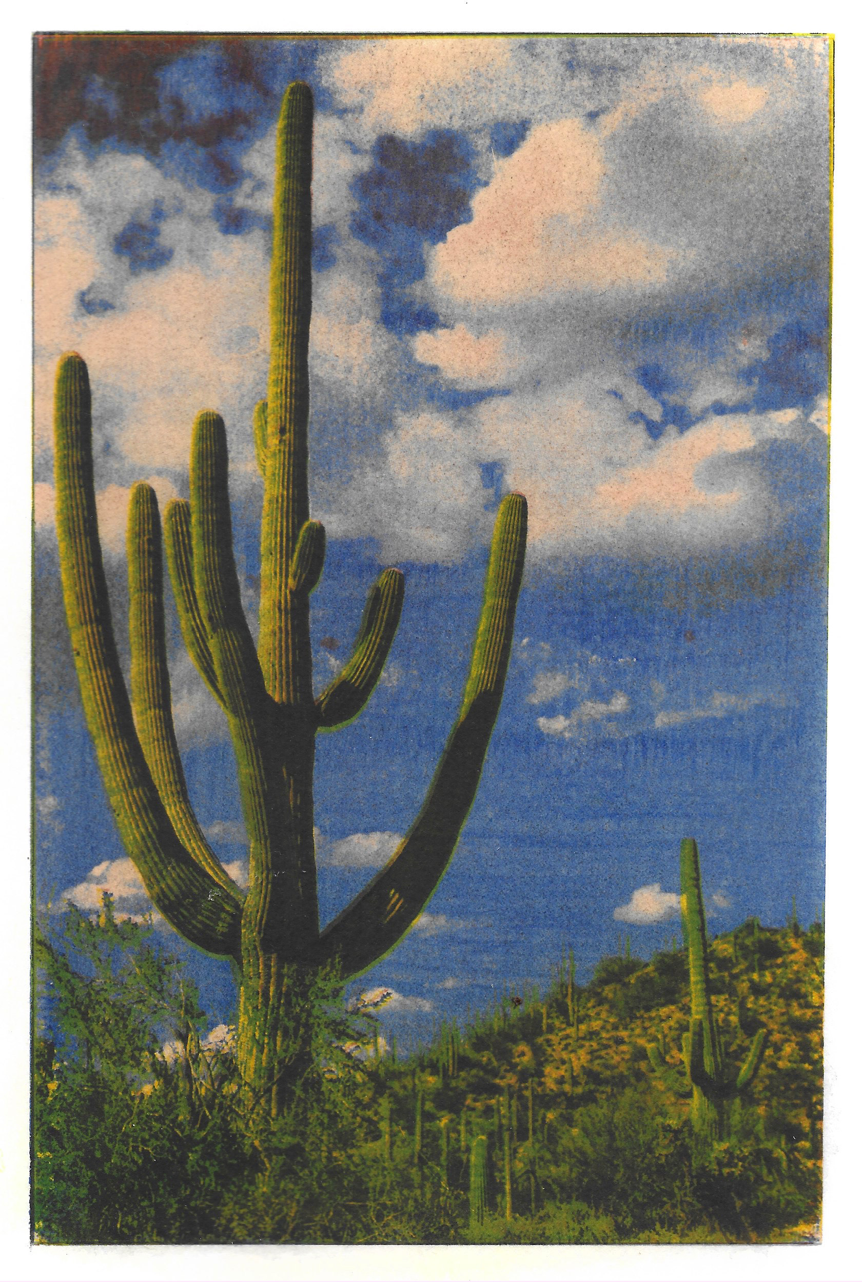 gum bichromate