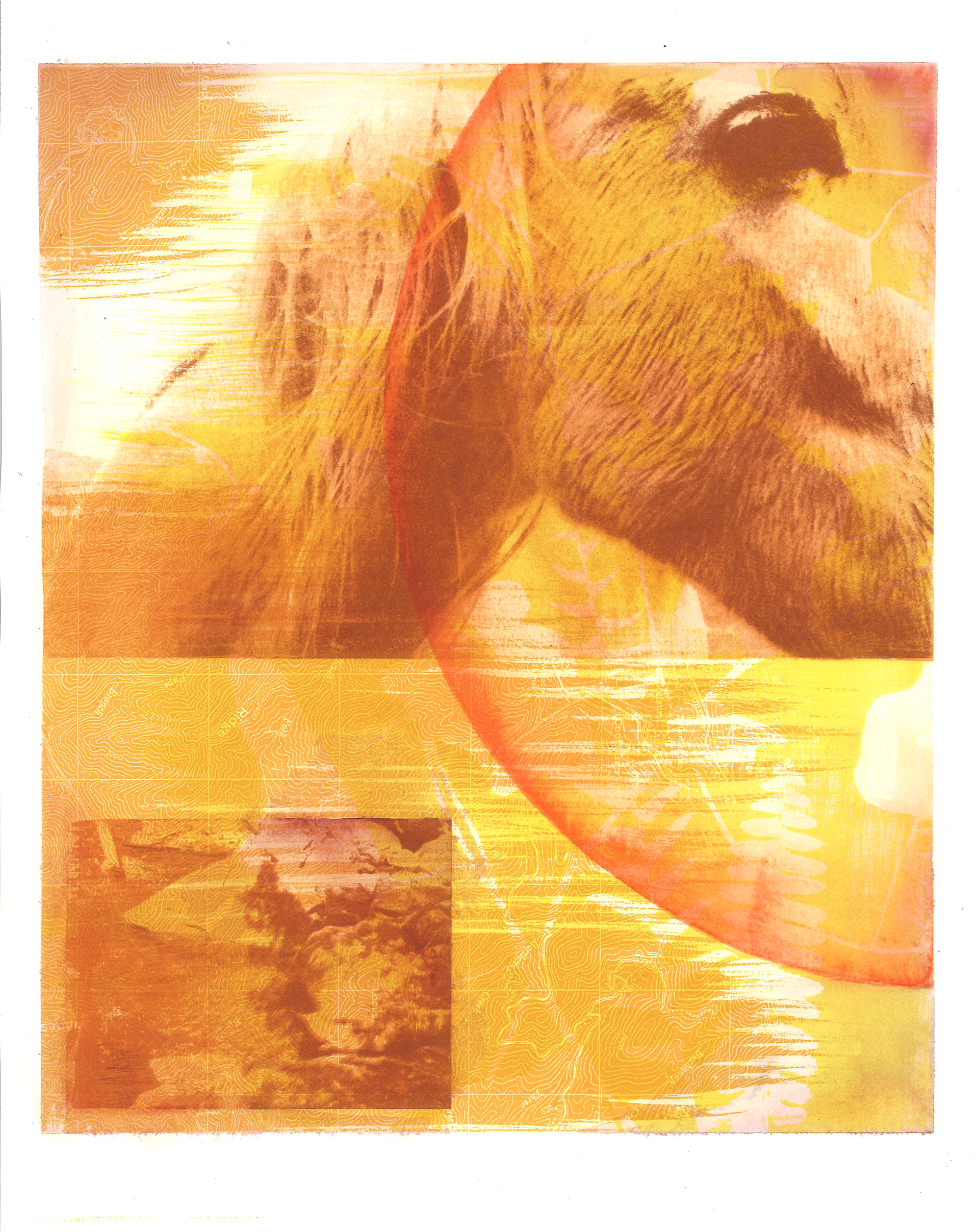 gum bichromate and watercolor