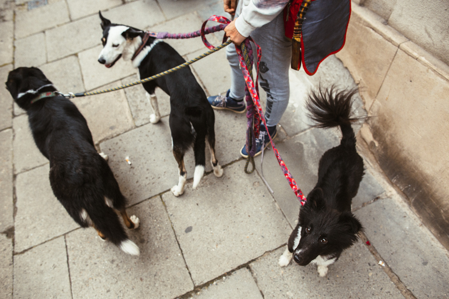 Plan zdjęciowy do teledysku reż. J. Tracz, E. Łapczyńska - Papaya Young Directors