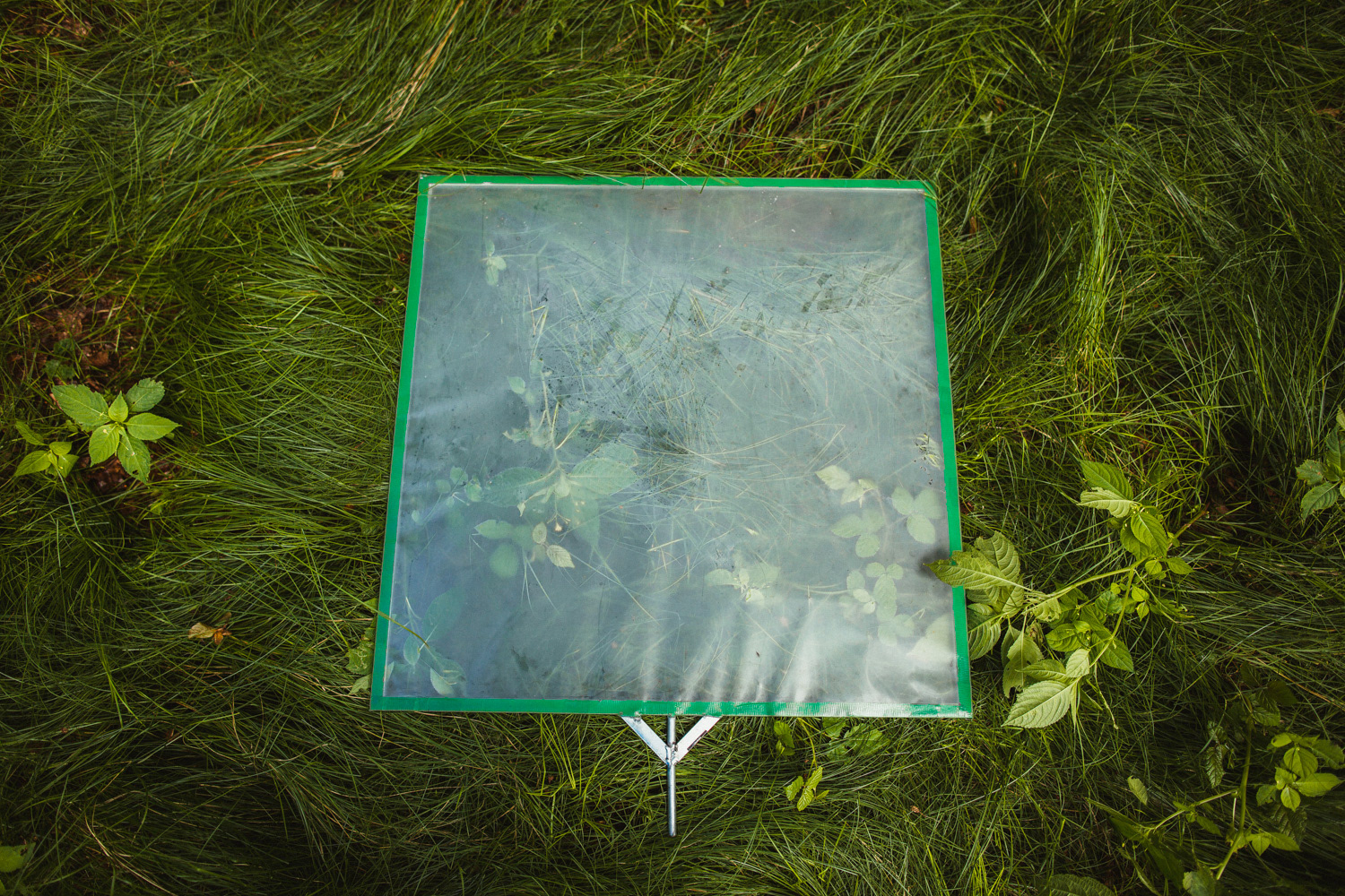 Plan zdjęciowy do teledysku reż. J. Tracz, E. Łapczyńska - Papaya Young Directors