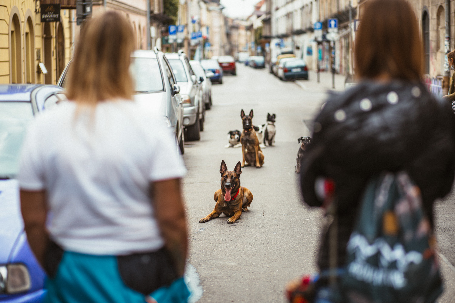 Plan zdjęciowy do teledysku reż. J. Tracz, E. Łapczyńska - Papaya Young Directors