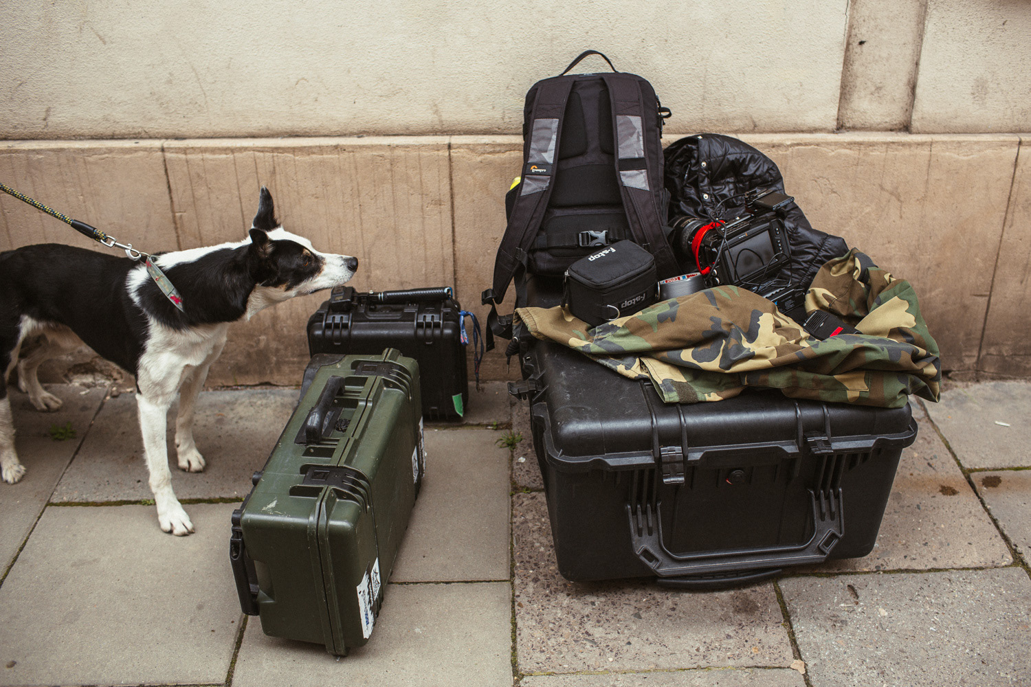 Plan zdjęciowy do teledysku reż. J. Tracz, E. Łapczyńska - Papaya Young Directors