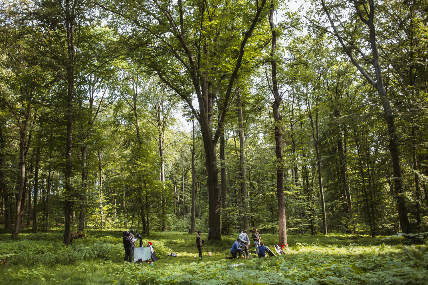 Plan zdjęciowy do teledysku reż. J. Tracz, E. Łapczyńska - Papaya Young Directors