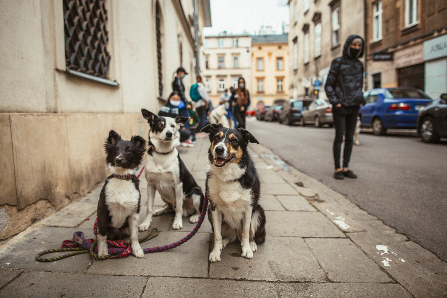 Plan zdjęciowy do teledysku reż. J. Tracz, E. Łapczyńska - Papaya Young Directors