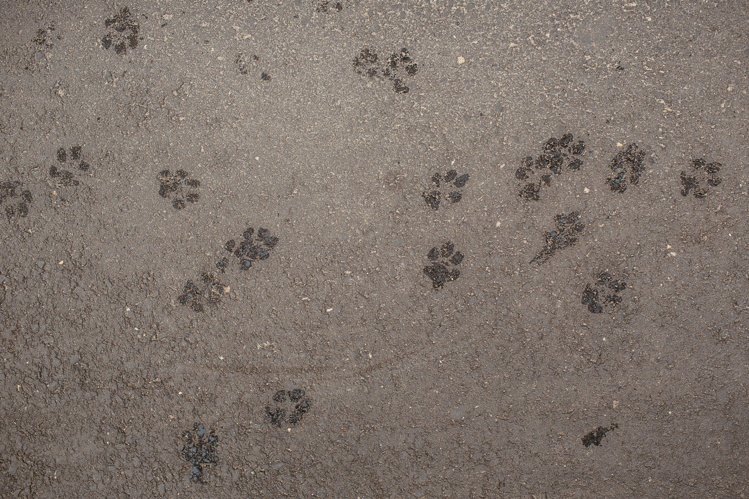 Plan zdjęciowy do teledysku reż. J. Tracz, E. Łapczyńska - Papaya Young Directors