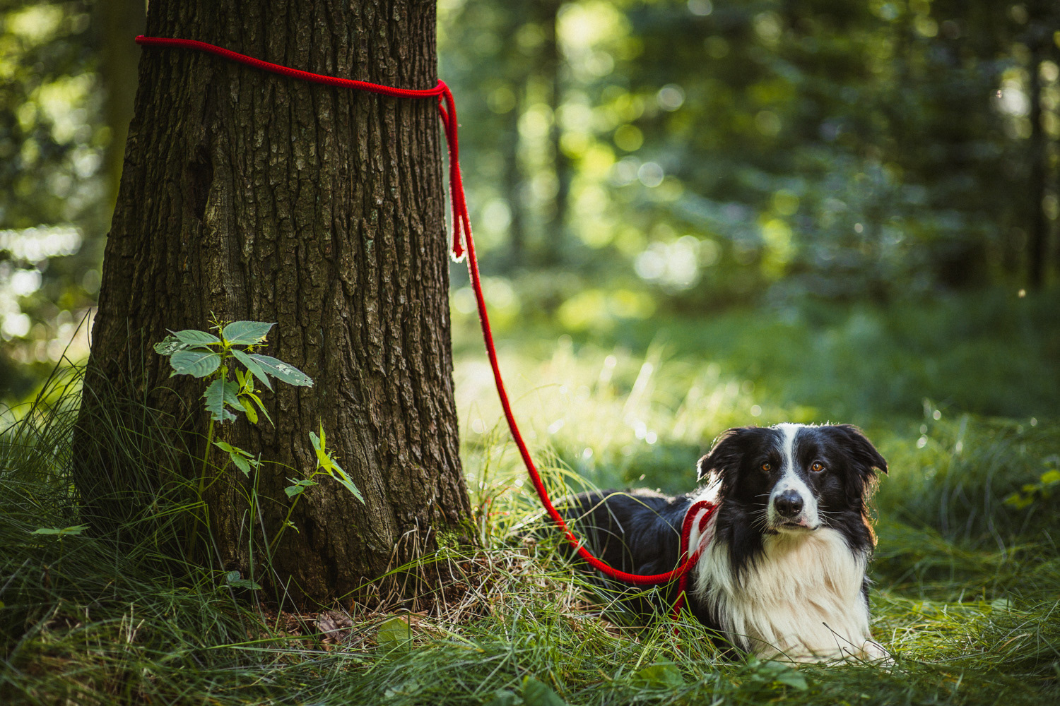 Plan zdjęciowy do teledysku reż. J. Tracz, E. Łapczyńska - Papaya Young Directors