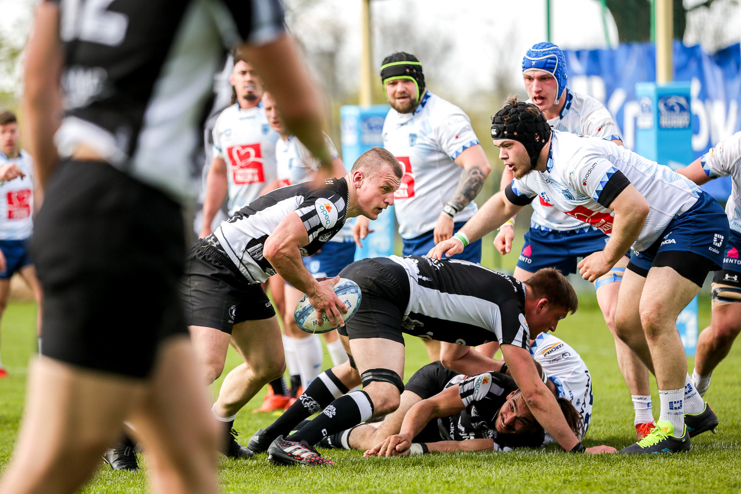 JUVENIA Kraków - ARKA Gdynia, Ekstraliga Rugby sezon 2022/23