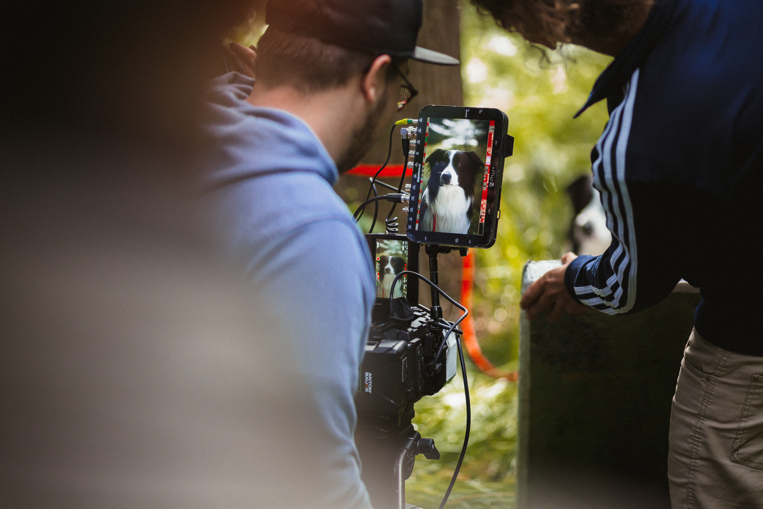 Plan zdjęciowy do teledysku reż. J. Tracz, E. Łapczyńska - Papaya Young Directors