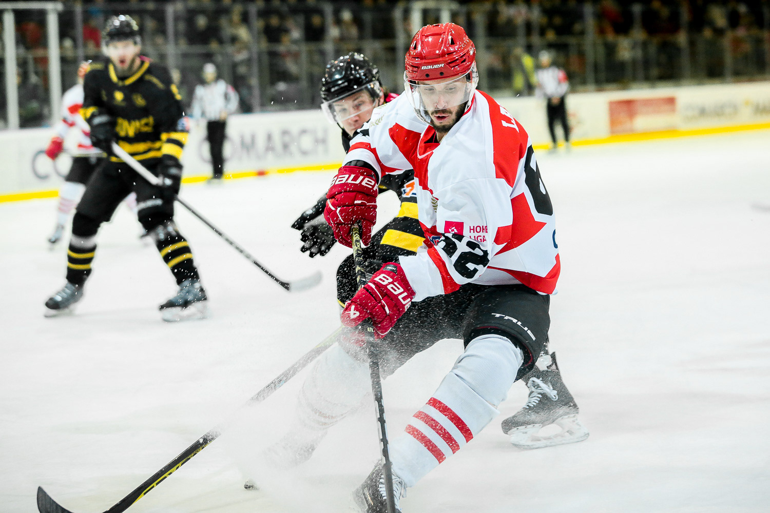 COMARCH Cracovia - GKS Katowice, Polska Hokej Liga sezon 2023/24