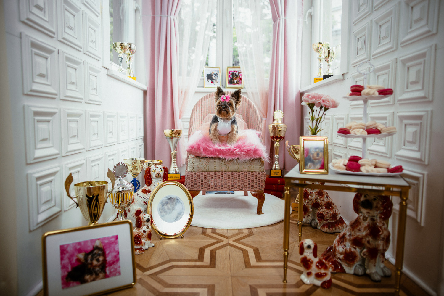 Plan zdjęciowy do teledysku reż. J. Tracz, E. Łapczyńska - Papaya Young Directors