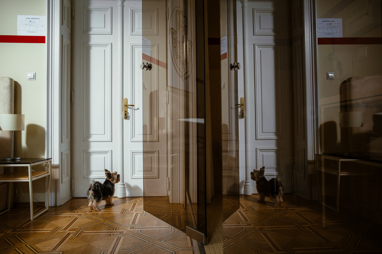 Plan zdjęciowy do teledysku reż. J. Tracz, E. Łapczyńska - Papaya Young Directors